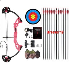 Compound Bow Archery for Youth and Beginner, Right Handed,19”-28” Draw Length…
