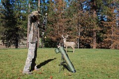 Arrow Quiver, Arrow Holder, Archery Case, Arrow Caddie, Arrows, Archery, Arrow