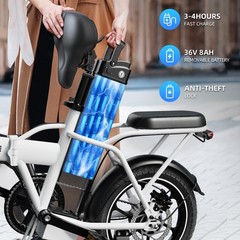 Windhorse W2A Folding Electric Bike 16in 630W 25MPH 35Mi 36V 8Ah