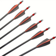 12Pcs 30“ Fiberglass Arrows Spine 500 OD 8mm Archery Plastic Feather F Shooting