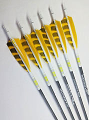 Goldtip warriors arrows for Traditional archery