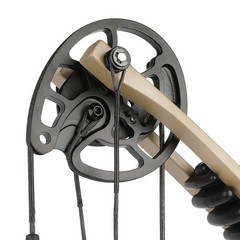 Compound Bow Fishing Set 30-55lbs Bowfishing Reel Archery Shooting Hunting RH LH