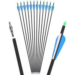 Complete 55″ Archery Set 55LB Folding Bow with 12 Carbon Arrows&Protective Gear