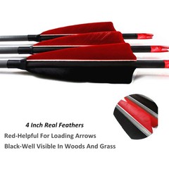 Archery Carbon Arrows 400 Spine with 4” Real Feather Fletching 100 Grain Poin…