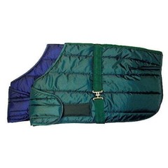 NEW Quilted Adjustable Foal Blanket Royal Blue 420D Water Resistant 28-44″