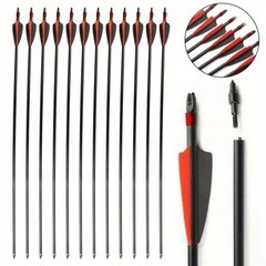 12Pcs 30“ Fiberglass Arrows Spine 500 OD 8mm Archery Plastic Feather F Shooting