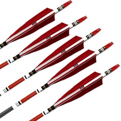 12PCS 31-inch Carbon Arrows Turkey Feather Hunting For Compound & Recurve Bow