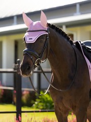 LeMieux Essence Fly Hood – Fondant