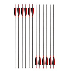Archery Carbon Arrows 400 Spine with 4” Real Feather Fletching 100 Grain Poin…
