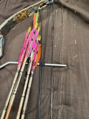 Alpine Archery Northwind Compound Bow with case