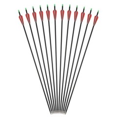 19-70lbs Adjustable Compound Bow Carbon Arrows Archery Shooting Hunting Target