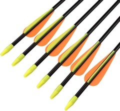 Archery Youth 24 26 28 Inch Fiberglass Archery Targeting Arrows for Youth Pra…