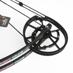25 30 Inch 30 55lbs Adjustable Compound Bow Set Hunting Archery Target Shooting
