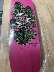 Todd Bratrud MN State Flowers Skateboard Limited 19/30 Nike SB 420 Strangelove