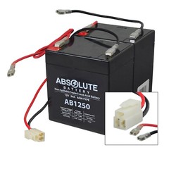 24 Volt Battery Pack for the Razor E175 (5 Ah, With Harness)