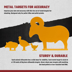 Airgun Target