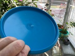 Disc Golf Innova First Run Star Prototype 176G Bullfrog XT OOP New Limited #2525