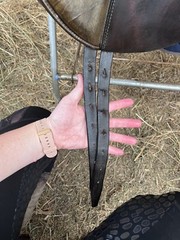 Stubben Romanus Dressage Saddle 17” MW