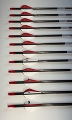 New Bloodsport Kicking Bear Youth Carbon Arrows 500 Spine 31 Inches Pack of 12