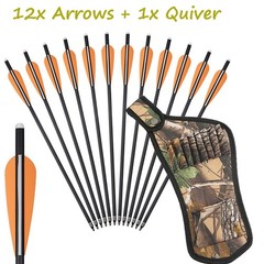 Archery Carbon Arrows 20in Crossbow Bolts +/or Arrow Quiver Bow Hunting Practice