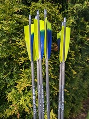 Gold Tip Warrior Carbon Arrows. 700, 600, 500, 400, 340, or 340. 6 Pack.