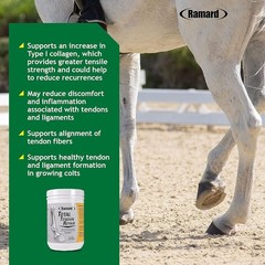 Ramard Total Tendon Repair 1.12lb 30-Day Horse Tendon Ligament Support TendoFit