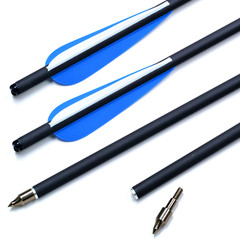 17″ 20″ 22″ Hunting Target Crossbow Bolts Archery Carbon Arrows OD8.8mm Crossbow