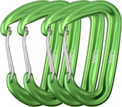 Carabiner Clips, 12 kN Aluminium D Ring Heavy Duty Lightweight Caribeaners-4 PCS