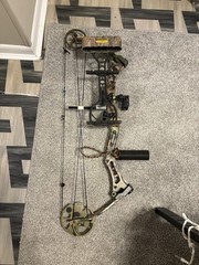 Bear CHARGE Bow