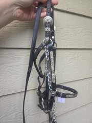Black Leather Miniature Horse Western Show Halter & Lead – B size – BLUE stones
