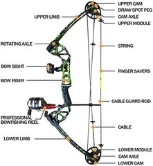 Bowfishing Bow Kit with Arrow Ready to Shoot Right Handed 15-45 LBS Draw Length