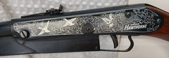 VTG DAISY MODEL 25 WARDS HAWTHORNE MALLARD DUCK STAMP EDITION BB GUN RIFLE