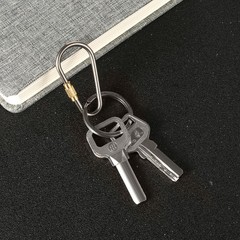 Skylety 10 Pieces Mini Titanium approx. 1.9 x 0.9 inch, as picture shown