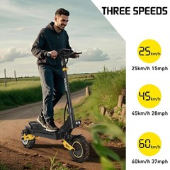 iENYRID ES1 Offroad EScooter 48V20.8Ah Folding Electric Scooter 2400W Dual motor