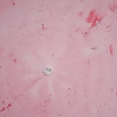 Doomsday Discs Frag Putter Pink 170g Premium Plastic Enhanced Grip SE 4/3/0/3