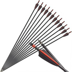 12pcs 30 inch Archery Fiberglass Arrows Spine 500 Hunting Target Practice Arrows