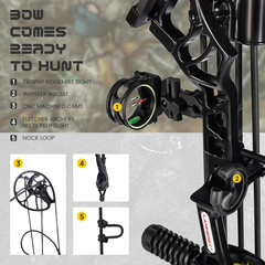 Adjustable Archery Eagle Compound Bow Set 20-70Lbs for Teens & Adults