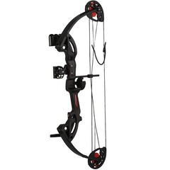 Compound Bow Archery kit for Youth ＆Beginner,15-29 lbs,Adjustable LW Hunting Bow