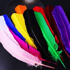 24Pcs Black Turkey Feathers 10~12in Long,Beautiful Feather for Crafts 26-31cm,Bu