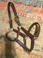 Tory leather horse halter soft english western FREE SHIPPING