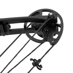 Black Compound Bow Kit with 12 Arrows Right Hand Archery Hunting Set 30-55lbs US