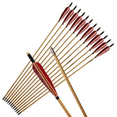 12Pcs 33″ Wooden Arrow LongBow Hunting Red Lightning Turkey Feather Fletching