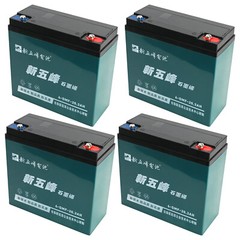 6-DZM-20 12V 20AH Battery Rechargeable 6-DZF-20 6-DMF Scooter Quad ATV Mobility