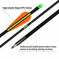 12Pcs 30“ Fiberglass Arrows Spine 500 OD 8mm Archery Plastic Feather F Shooting