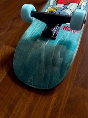 Welcome Skateboards Teddy Nora Vasconcellos Teal Factory Assembled