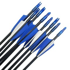 24x Archery Fiberglass Arrows 31″Outdoor Target Practice Hunting Shooting Arrows
