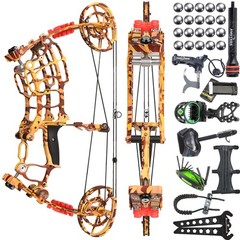 30-60lbs Compound Bow Kit Steel Ball Arrows Dual-use Archery Hunting Fish RH LH
