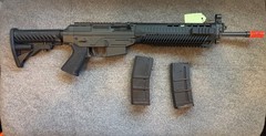 Swiss Arms Sig 556