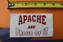 Apache And Proud of It American Indian Native Z30B Vintage Skateboarding STICKER
