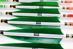 12Pcs 33inch Carbon Hunting Arrows Archery Target Arrows with 5″ Turkey Feathers